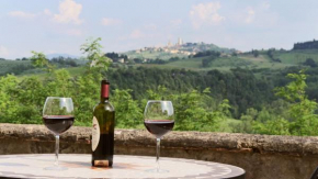 The Best View San Gimignano Apartments